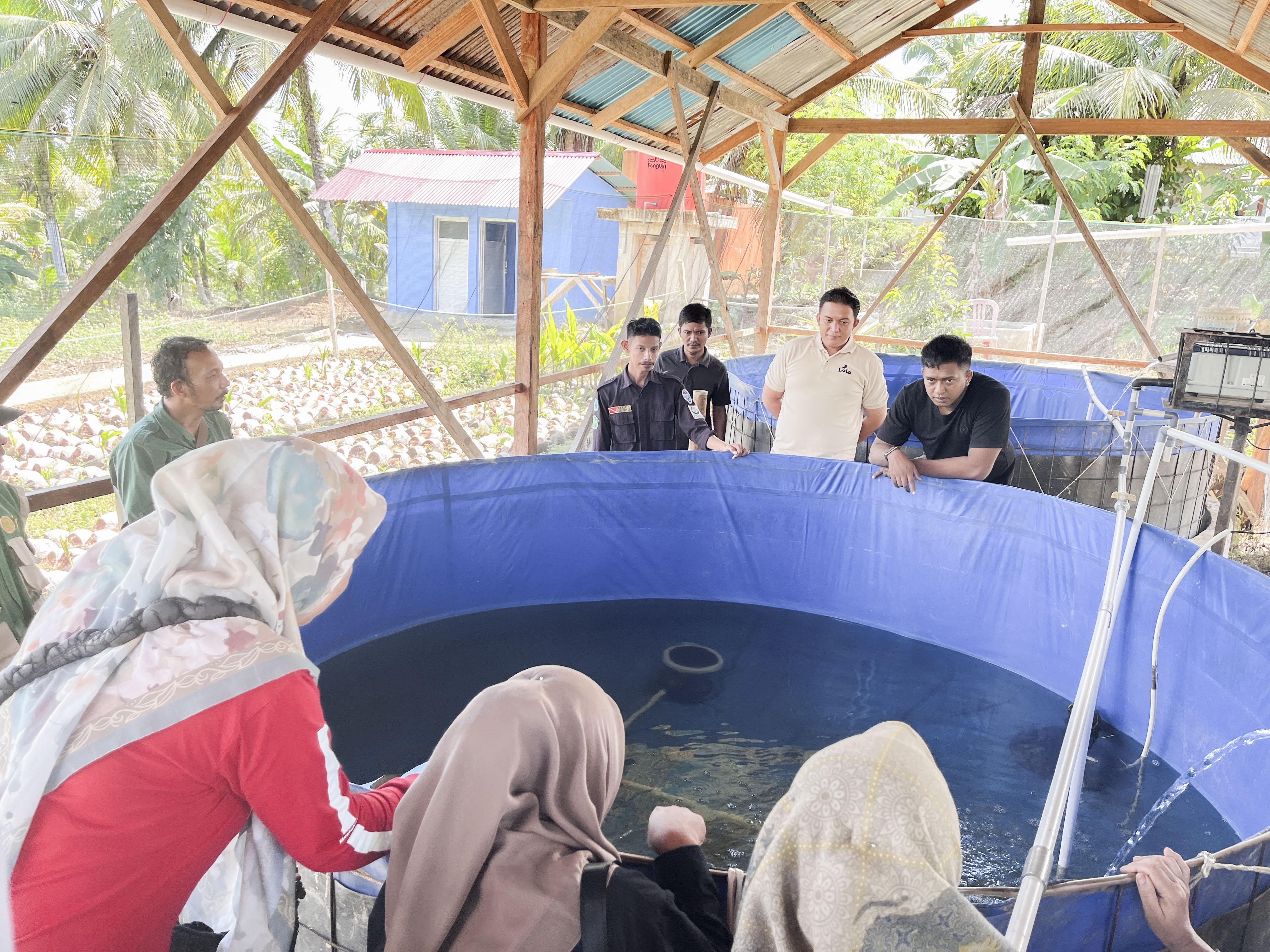 PKK dan Karang Taruna Sipora Jaya Kembangkan Pertanian Terpadu untuk Ketahanan Pangan Desa