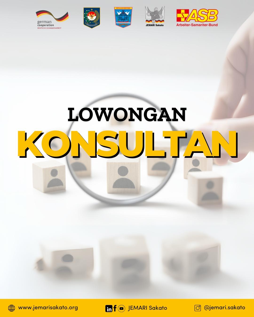 Lowongan Konsultan